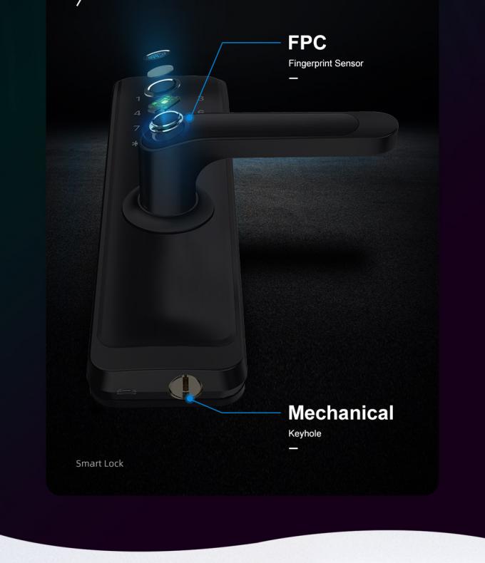 Автоматическая биометрическая дверь 3