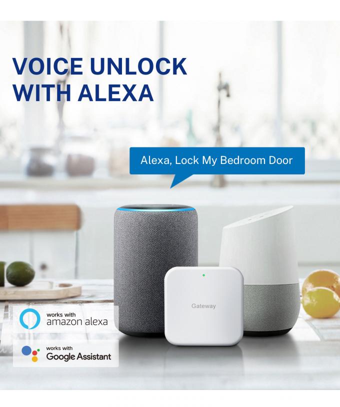 Liliwise Security Digital Doorbell Tuya Wifi Умный отпечаток пальцев Замок распознавание лица Камера Замок двери Контроль де аксессо 24