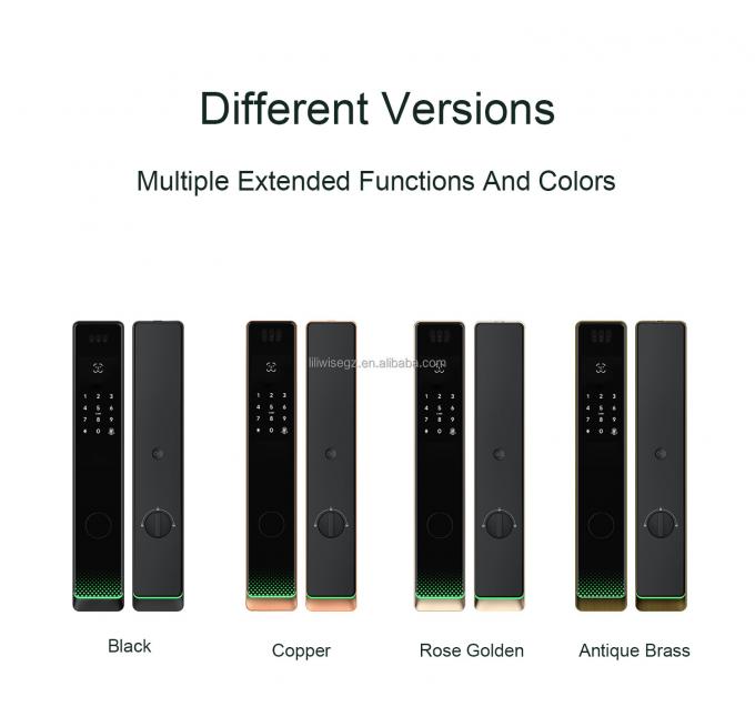 Liliwise Tuya Домашняя безопасность Входная дверь Замок Внешний цифровой отпечаток пальцев водонепроницаемая безопасность распознавание лица умный замок 6