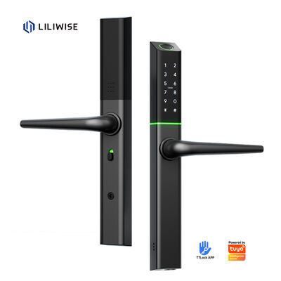 Wifi Remote Ttlock Отпечаток пальца Ультратонкая Алюминиевая Tuya Сдвижная дверь Умные замки Цифровые Умные замки С помощью приложений
