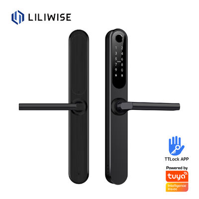 Liliwise водонепроницаемая Alexa Алюминиевая Сталь Ip66 Умный Замок Дверь Отпечатки пальцев Cerradura Electronica Ttlock Умные замки с Wi-Fi